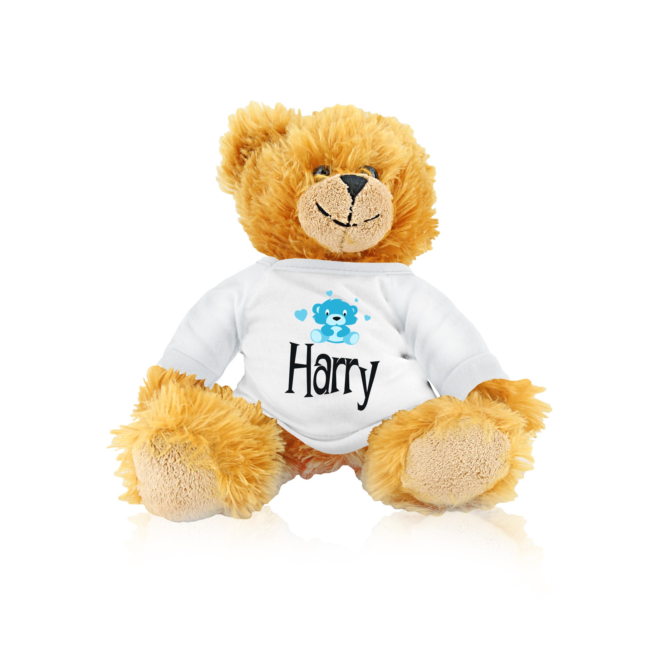 Brown Teddy with Blue Bear Brown Teddy with Blue Bear