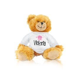Brown Teddy with Pink Bear