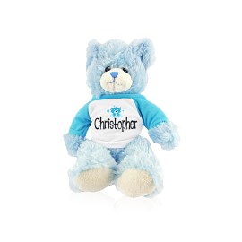 Blue Teddy with Blue Shirt